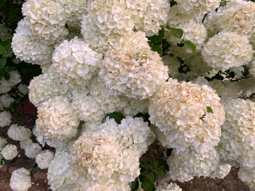 被侵犯漫画 被侵犯漫画