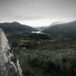 小狐狸直播官网 m34uf8d