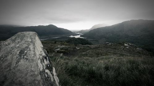 小狐狸直播官网