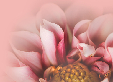 行驶证没带被交警抓了